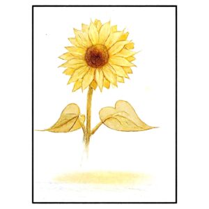 Sunflower — Study I & II