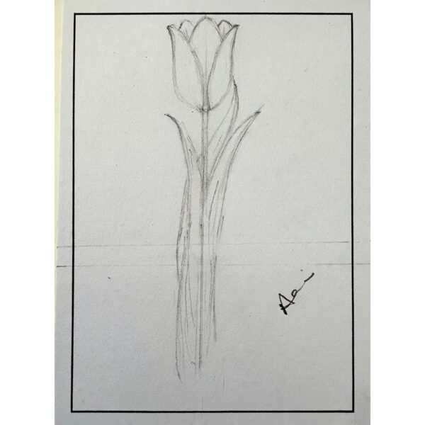 Tulip — Study I & II