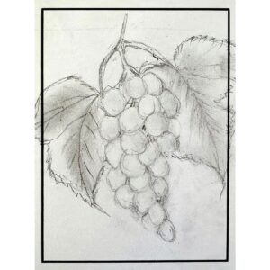 Grapes
