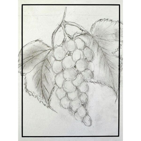 Grapes